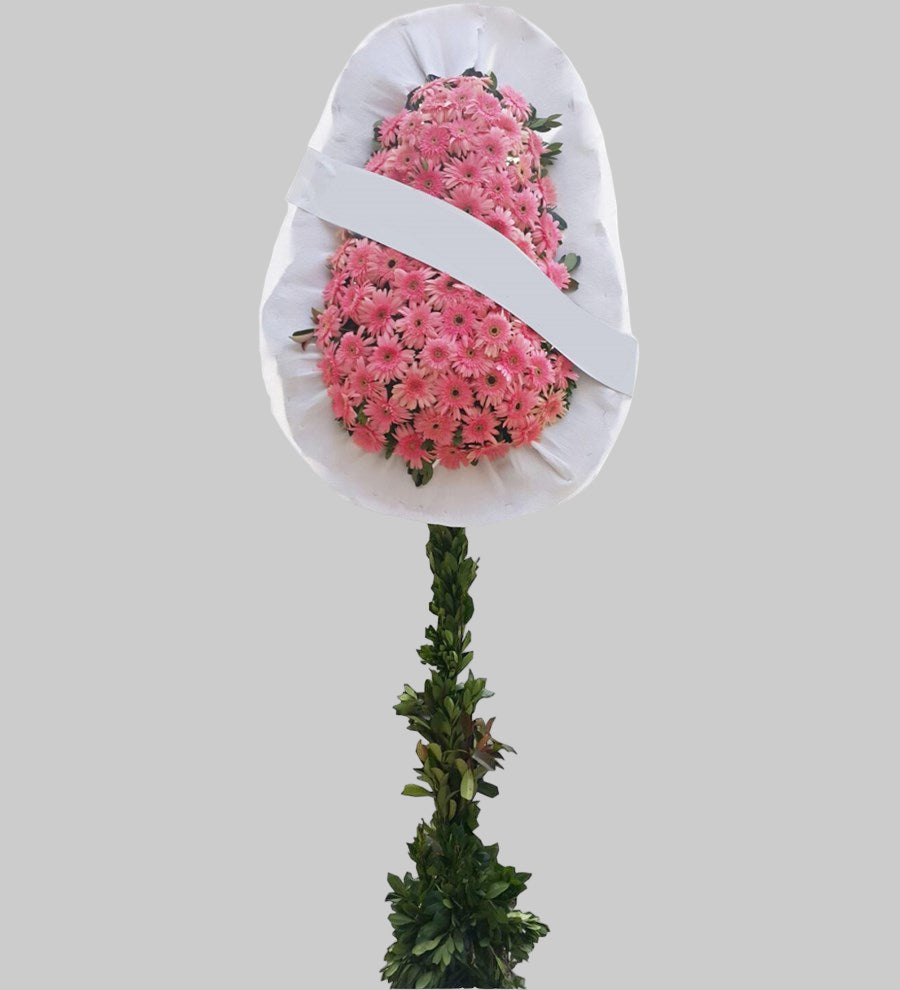 PEMBE DÜĞÜN/AÇILIŞ ÇİÇEĞİ