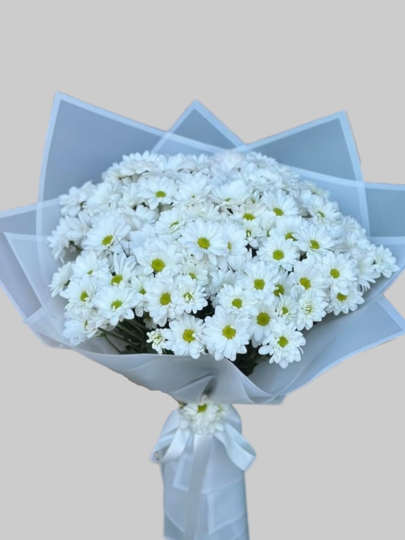 BÜYÜK BOY PAPATYA BUKETİ