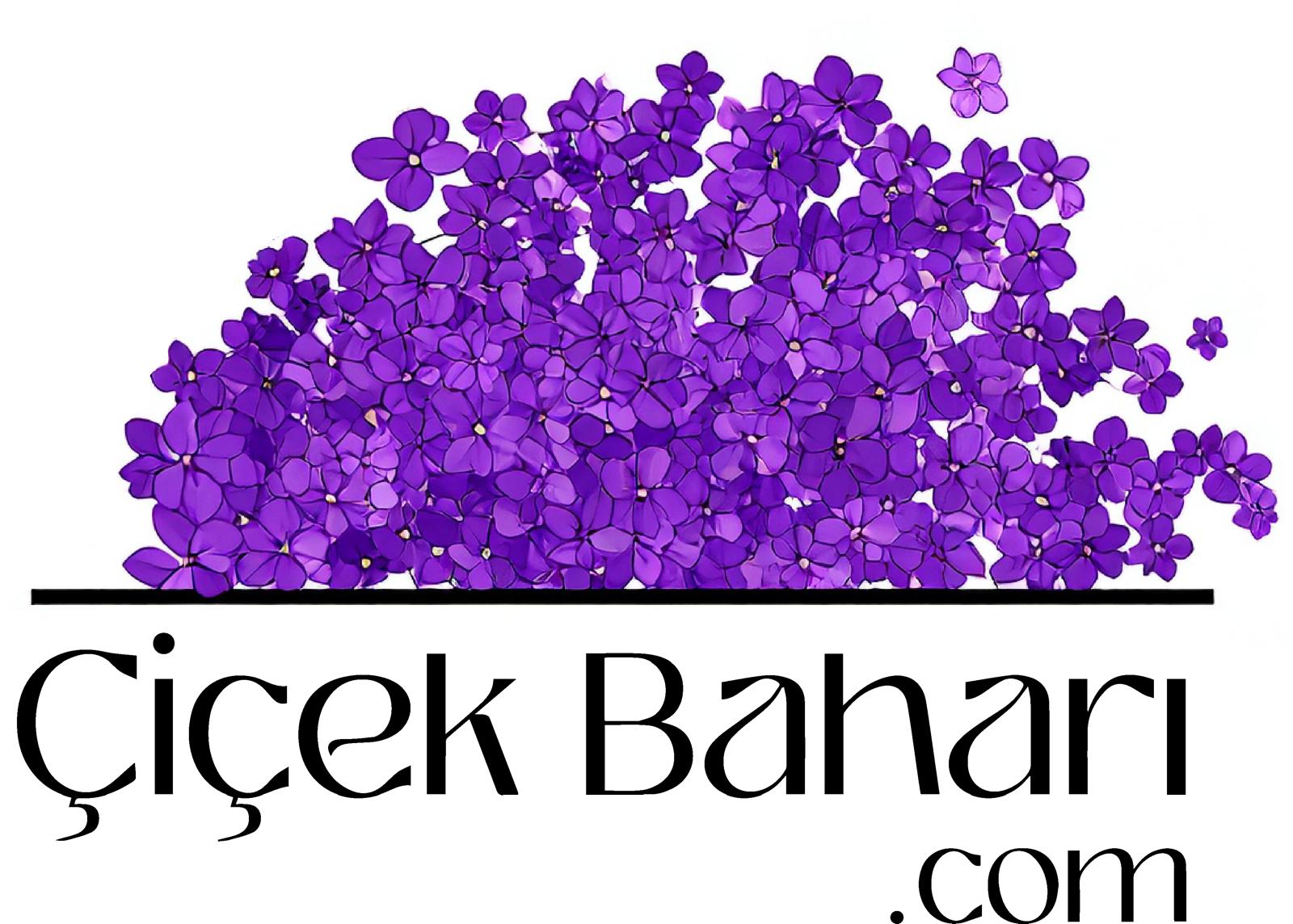 Çiçek Baharı