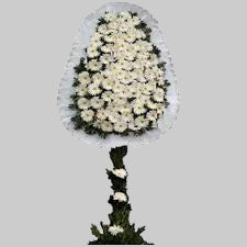 BEYAZ DÜĞÜN/AÇILIŞ ÇİÇEĞİ