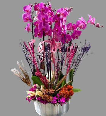 6 DAL GRUP MOR ORKİDE ARANJMAN